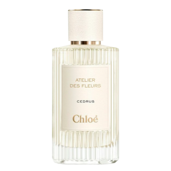 Chloe Cedrus Cedrus - Зображення 1