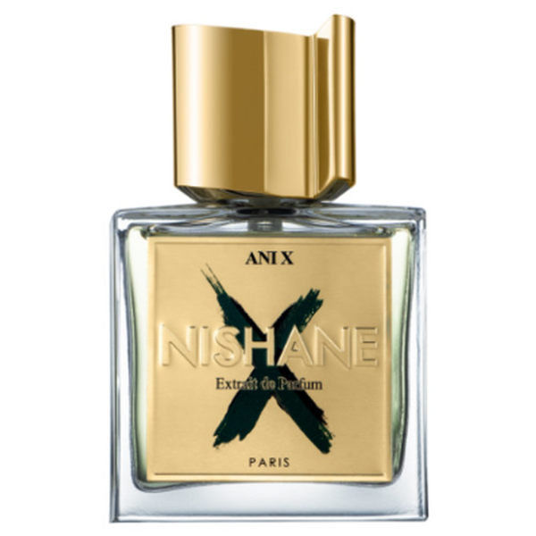 Ani X - Зображення 1