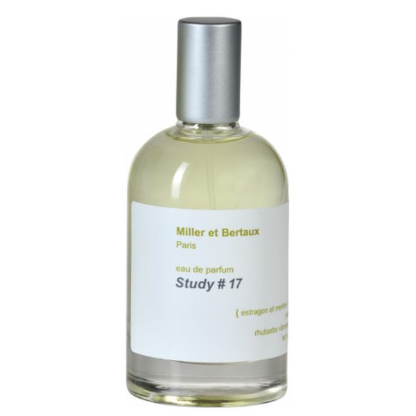 Study # 17 - Зображення 1