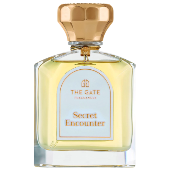 Secret Encounter - Зображення 1