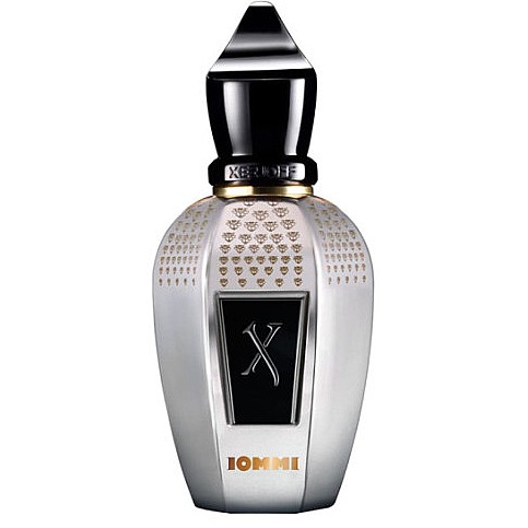 Tony Iommi Monkey Special - Зображення 1