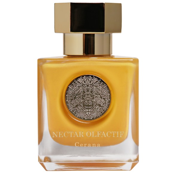 Cerana Cerana - Зображення 1