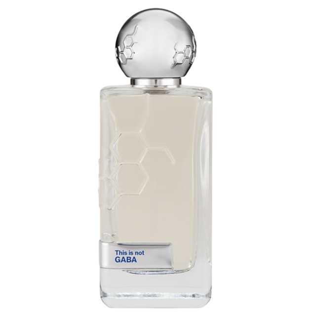 This is Not GABA Gaba - Зображення 1
